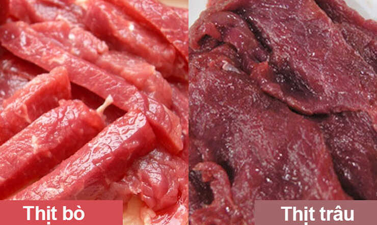 Thịt trâu hay thịt bò tốt hơn