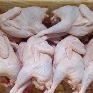 Thịt gà nguyên con đông lạnh