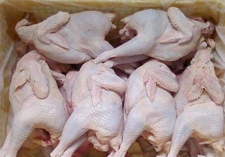 Thịt gà nguyên con đông lạnh
